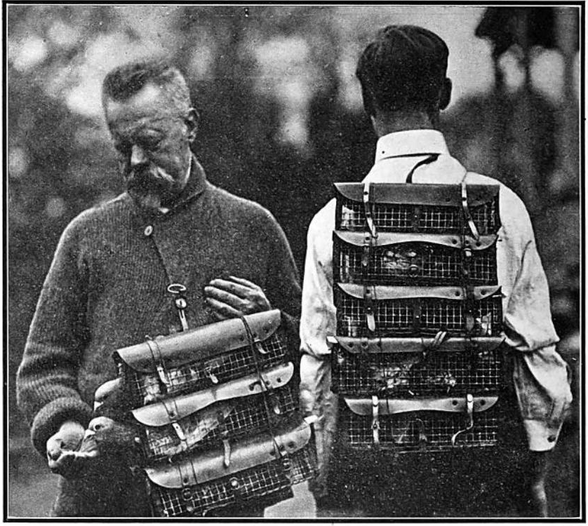 August De Corte: How Uncle Sam Stiffed An Innovative Pigeoneer During World War One