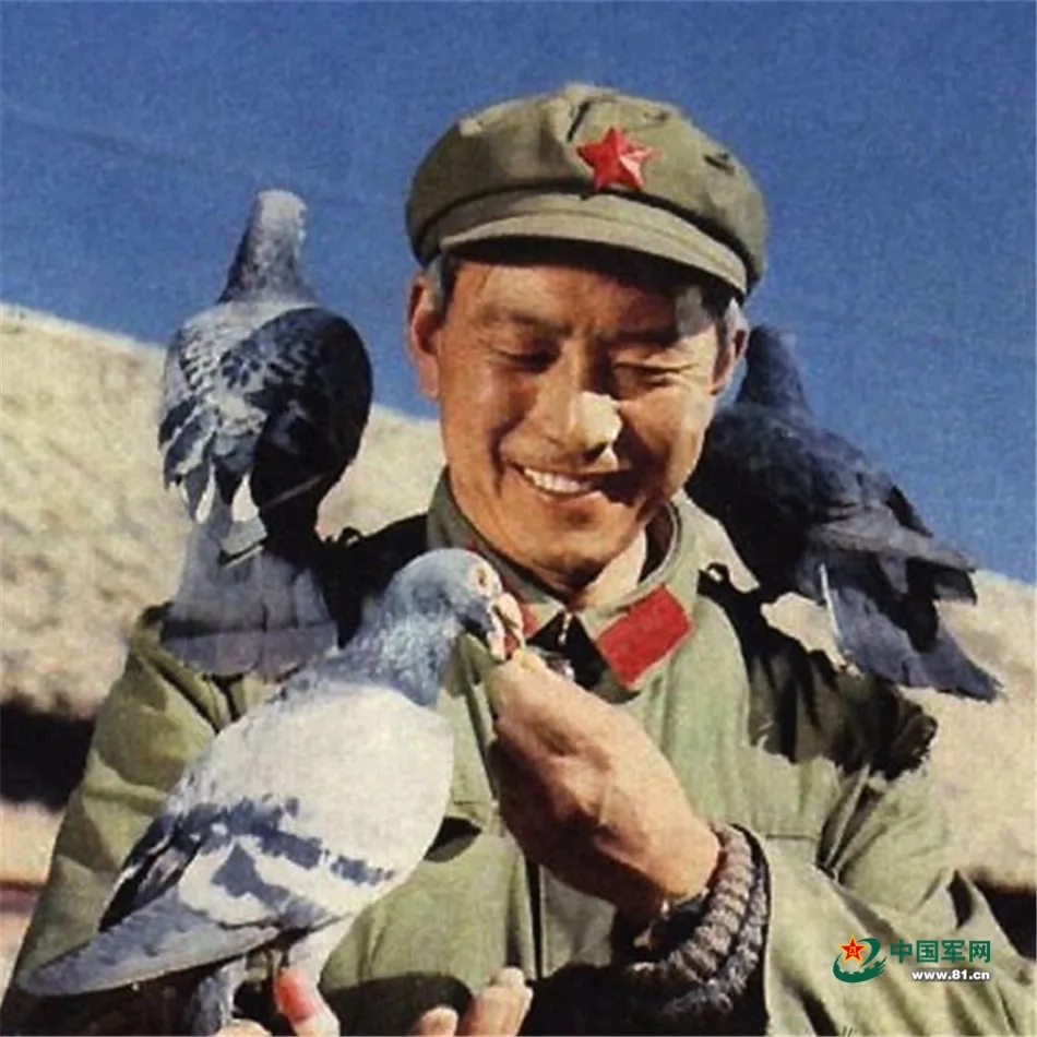 Military Pigeons in the 21st Century, Part III: China